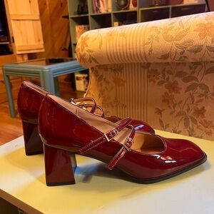 Elegant Red Mary Janes